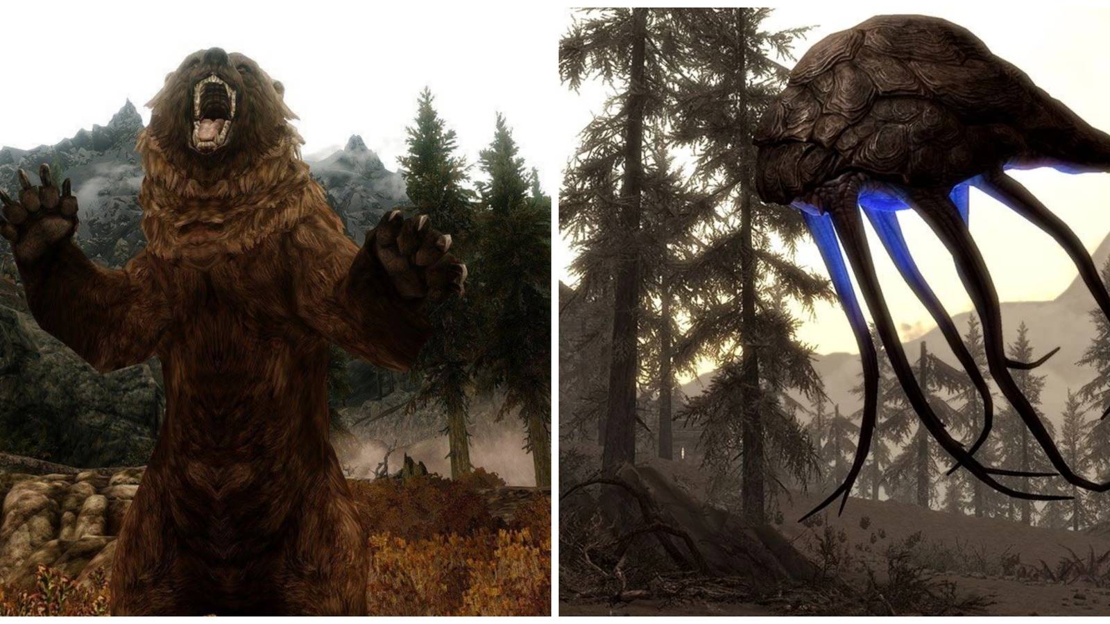 Split image, Skyrim bear and netch