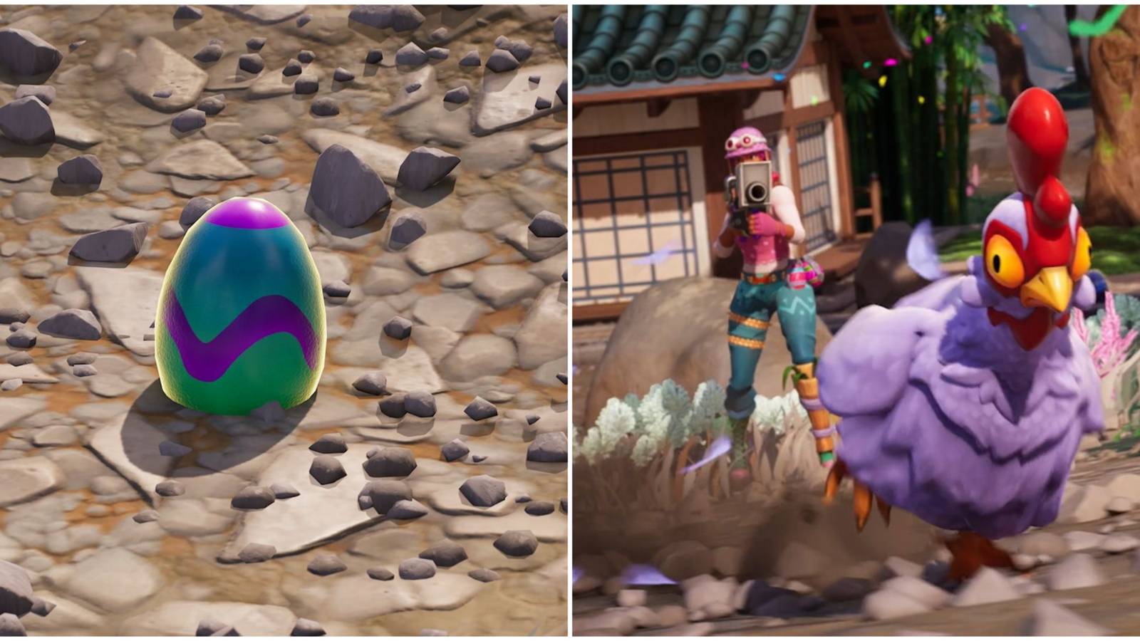 finding a laid egg and easter chicken