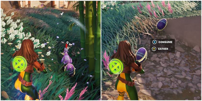 collecting laid eggs in-game