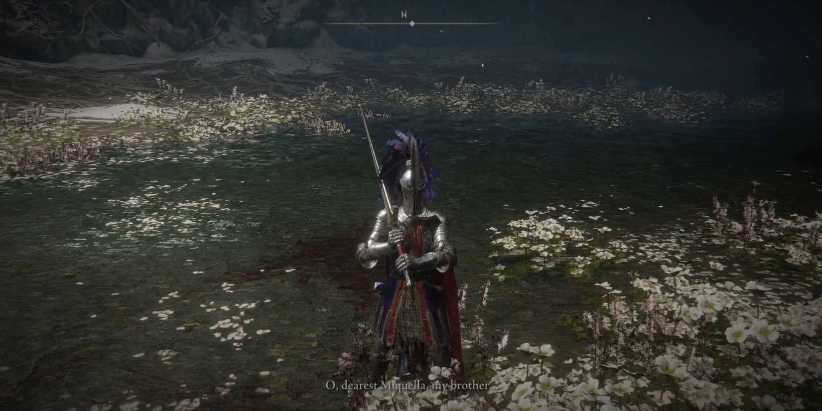 cuckoo knight set elden ring