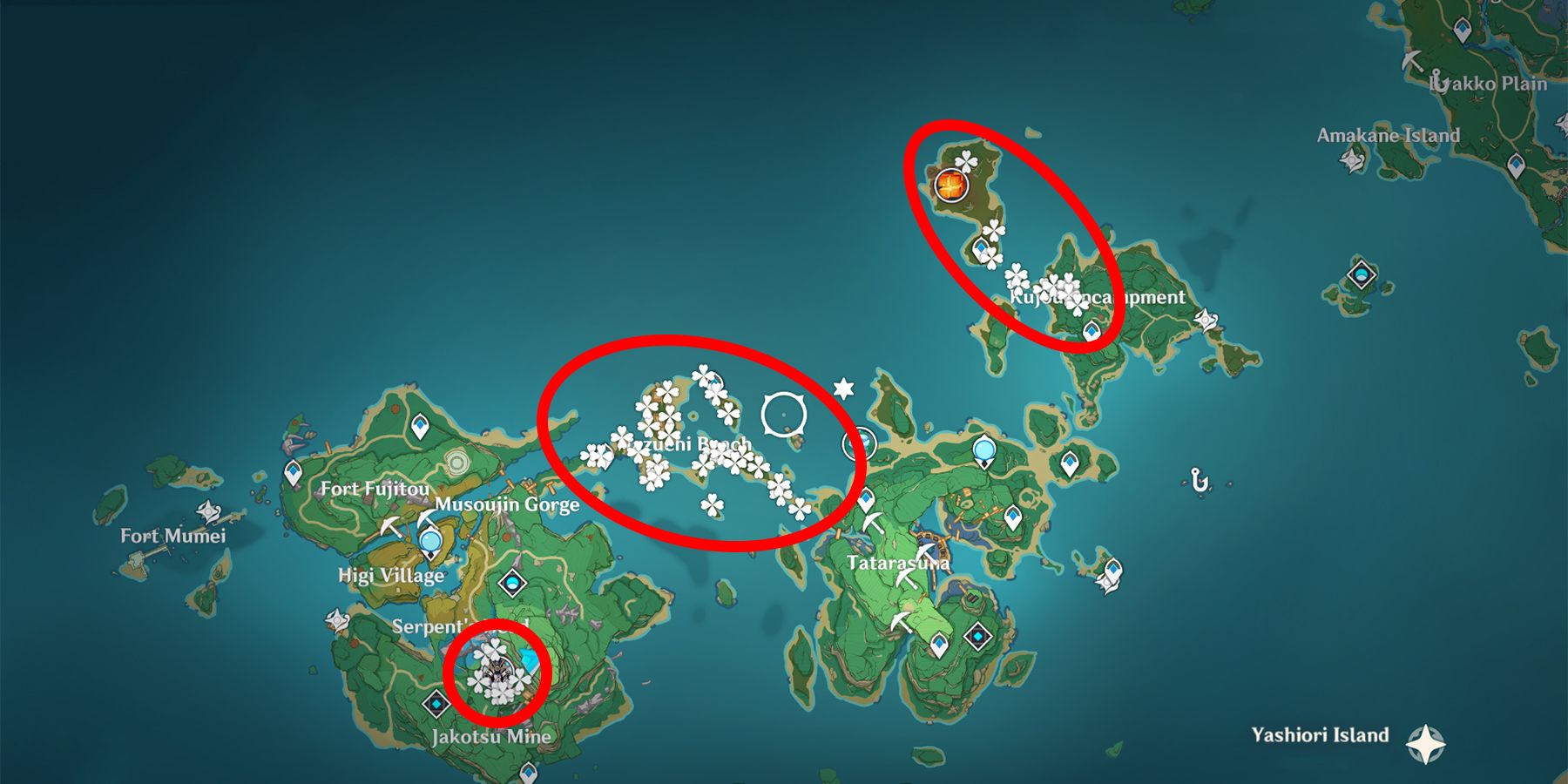 Ubicaciones de Dendrobium y ruta agrícola en Genshin Impact