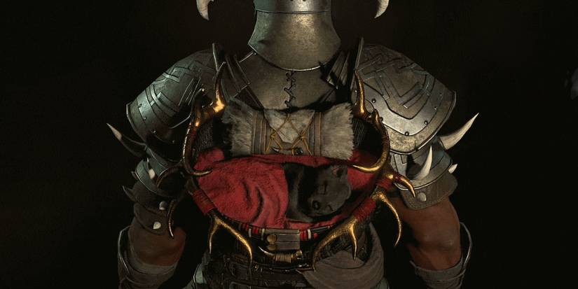 Diablo IV Beta Wolf Pack cosmetic, featuring a sleeping wolf puppy