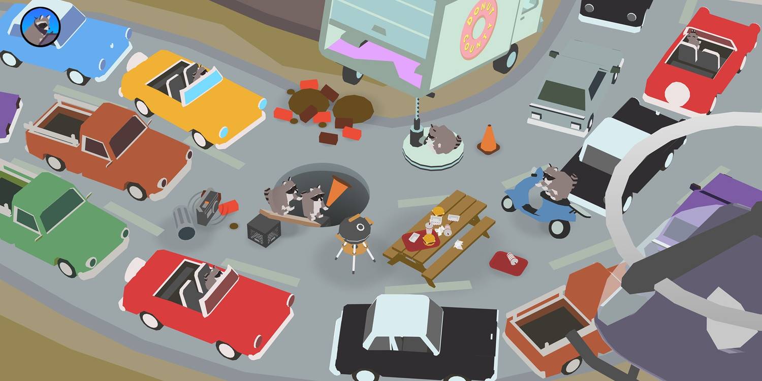 Raccoons that had set up a picnic on a highway falling through a hole in Donut County