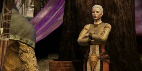 Dragon Age: Origins Wynne at Ostigar