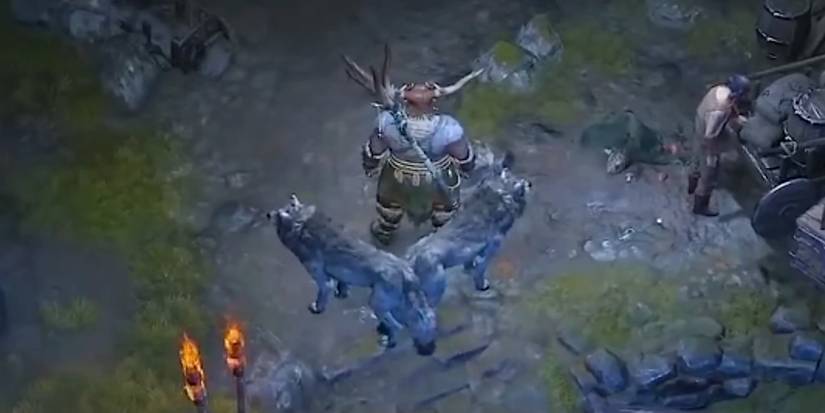 Druid Diablo 4 Wolf Summons