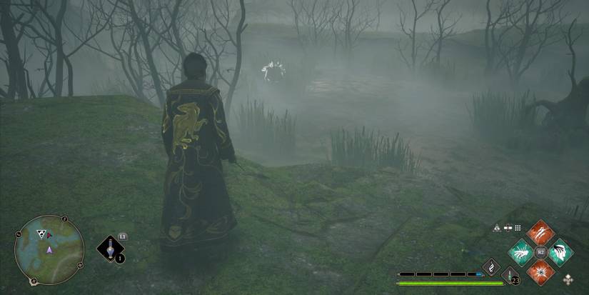 The Northern South Sea Bog Dugbog Den in Hogwarts Legacy