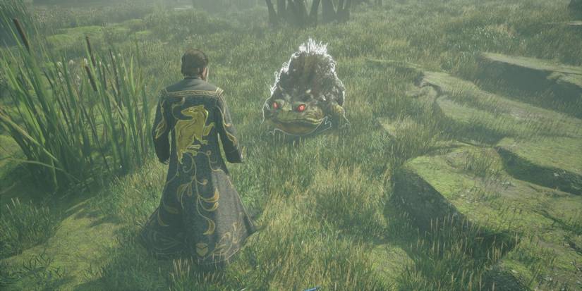 Facing a Dugbog in Hogwarts Legacy