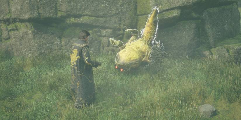 Flipping a Dugbog on its back in Hogwarts Legacy