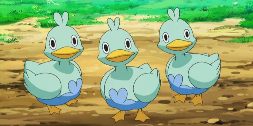 ducklet pokemon