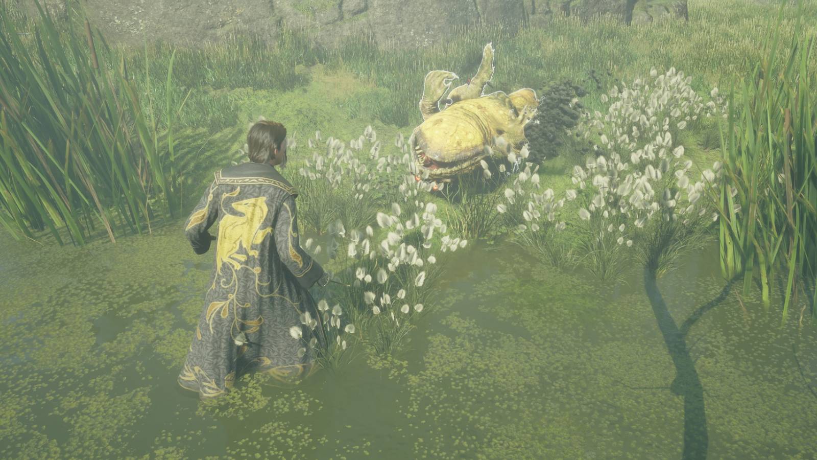 Flipping a Dugbog on its back in Hogwarts Legacy