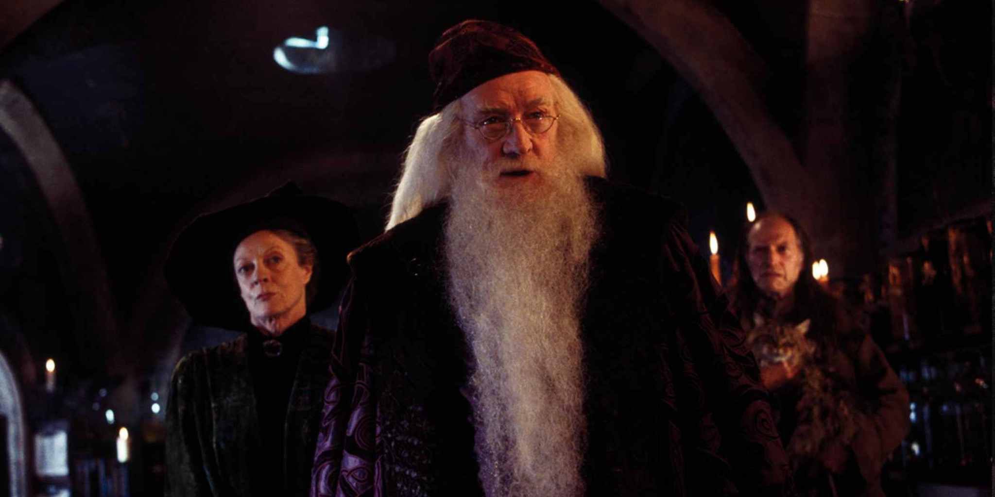 dumbledore, filch and mcgonagall in harry potter and the chamber of secrets