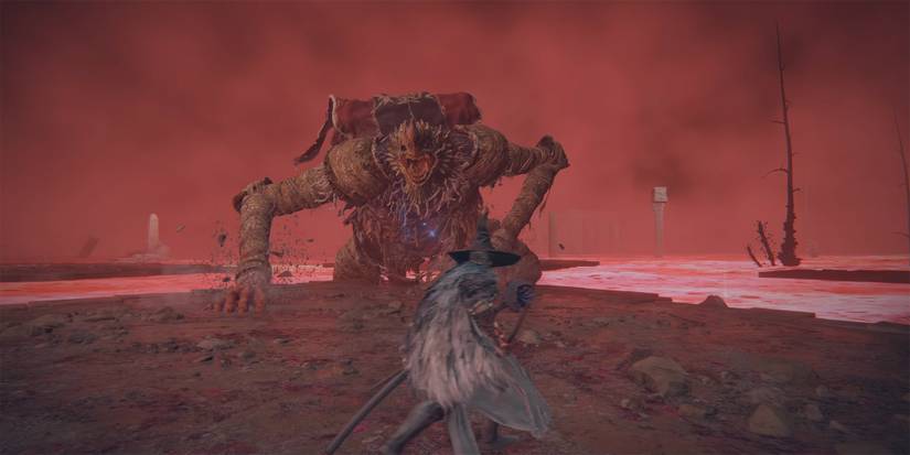 Elden Ring - Fighting Dragonkin Warrior In Lake Of Rot