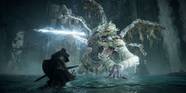 Elden Ring Player Beats Game Without Walking