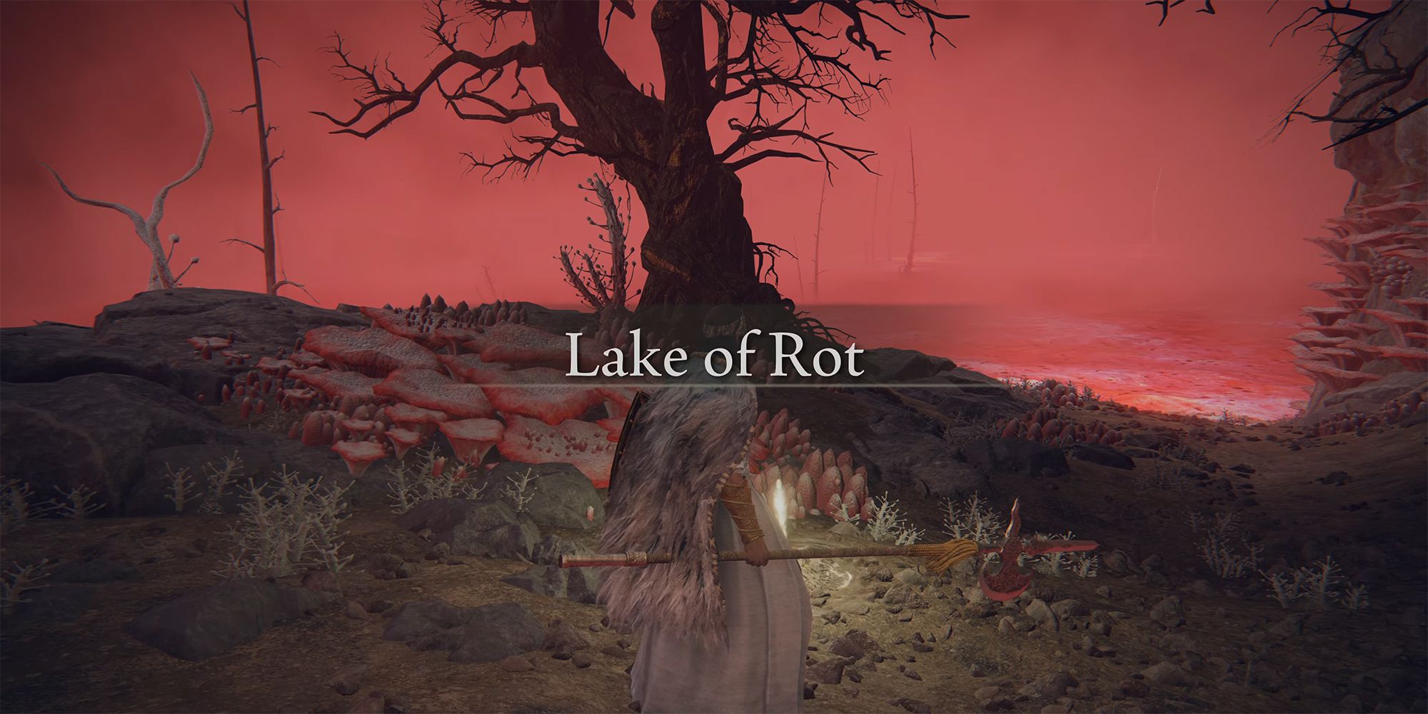 Elden Ring - Walking Into The Lake Of Rot