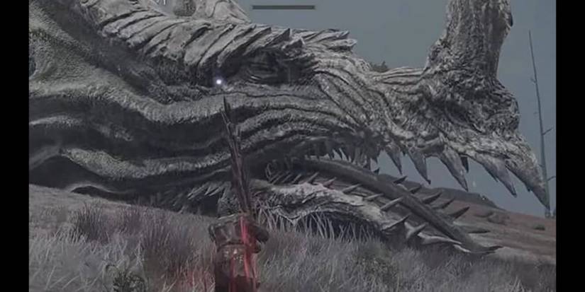 elder-dragon-greyoll