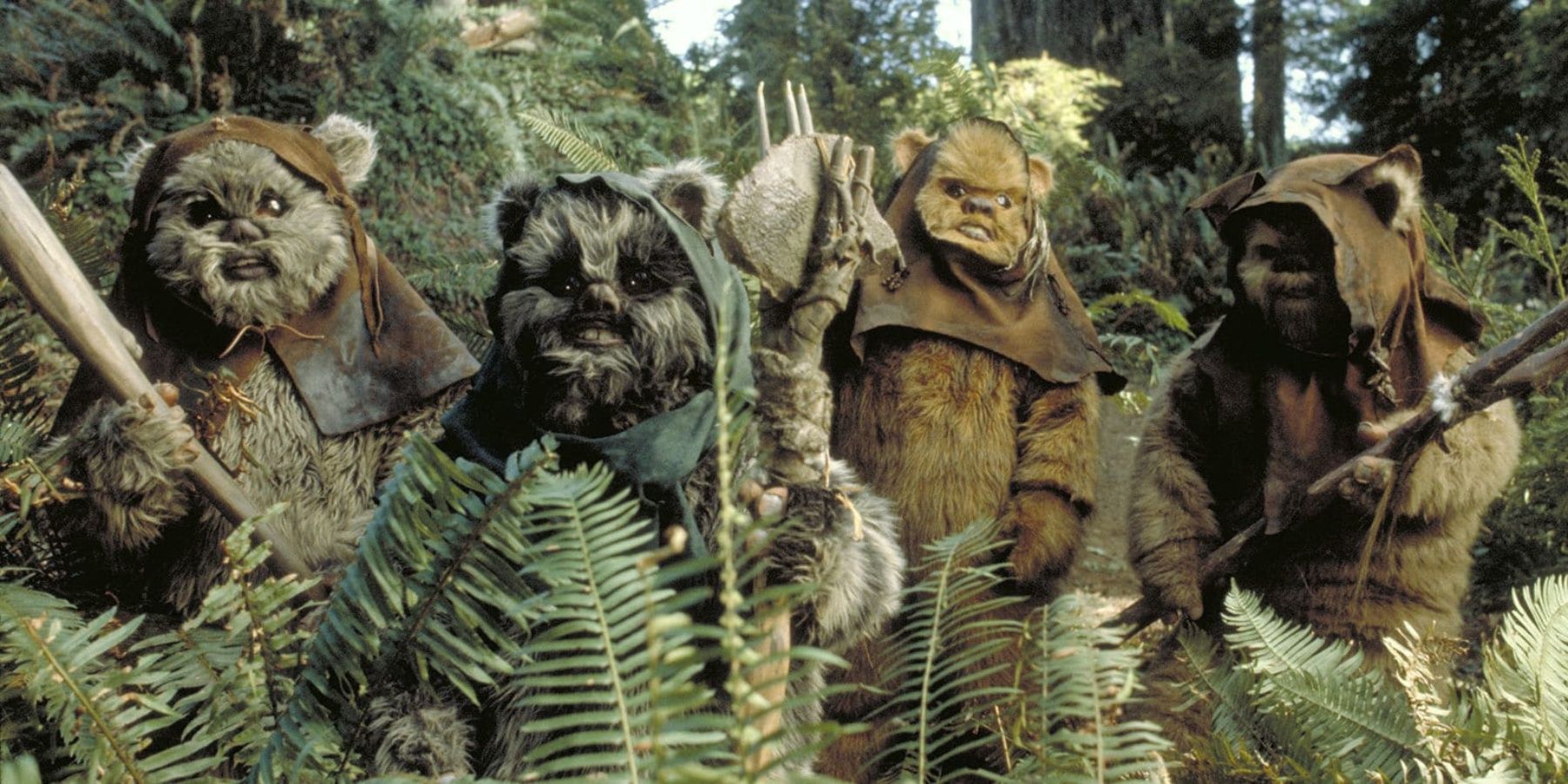 ewoks in star wars