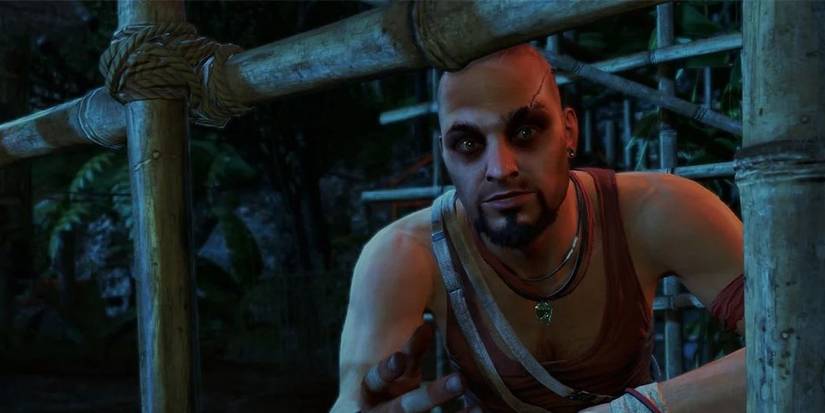 Far Cry 3 vaas 