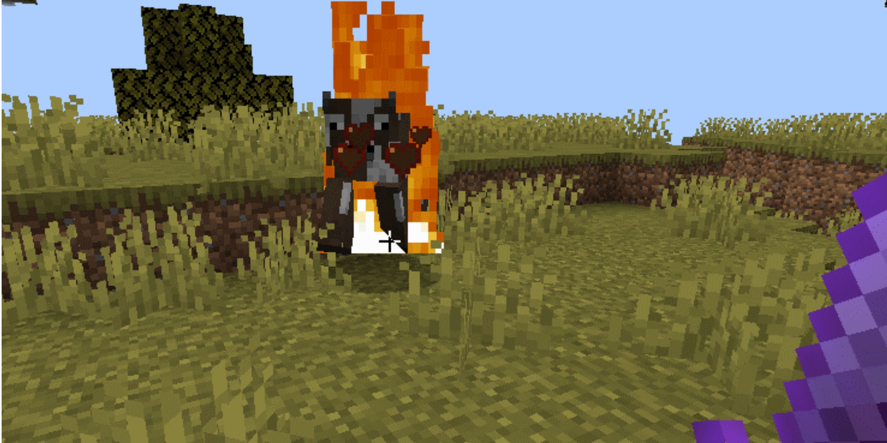 fire aspect sword vs a cow