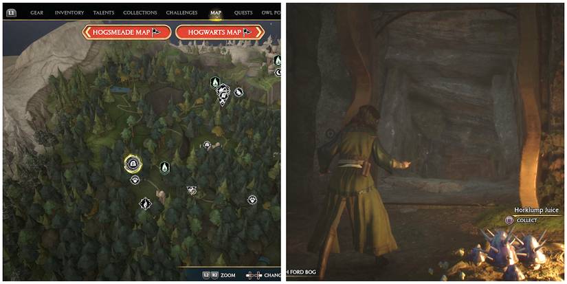 forbidden forest treasure vault 2 location in hogwarts legacy