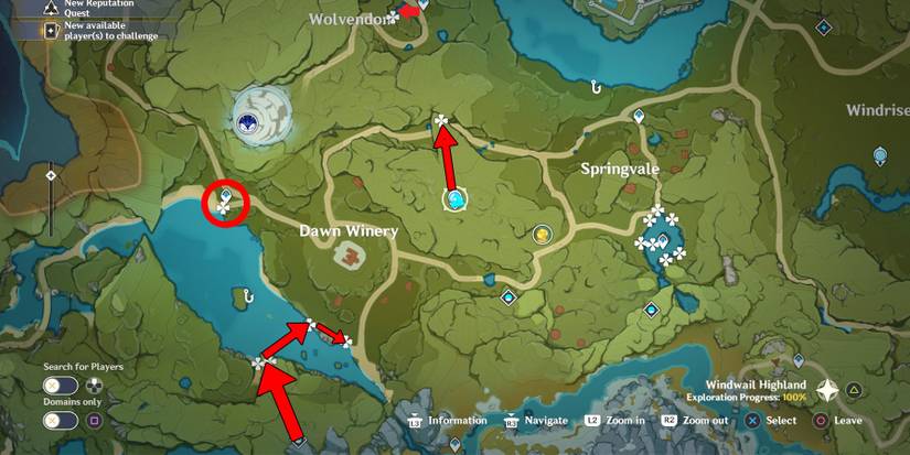 genshin impact dawn winery calla lily locations