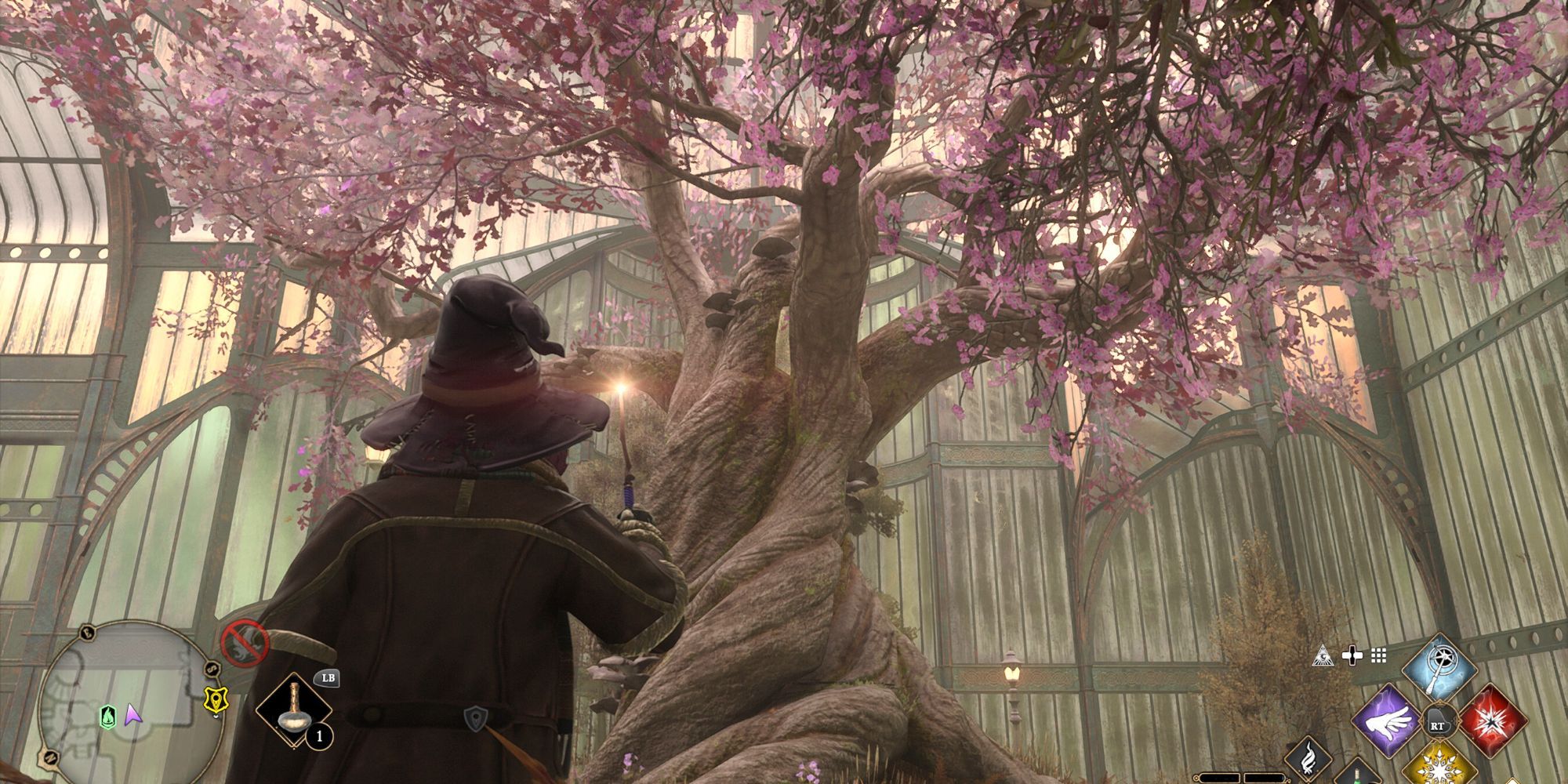 greenhouse tree revelio field guide page location Hogwarts Legacy
