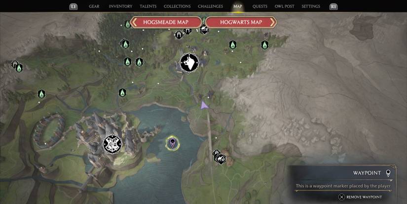 The Giant Squid location in Hogwarts Legacy