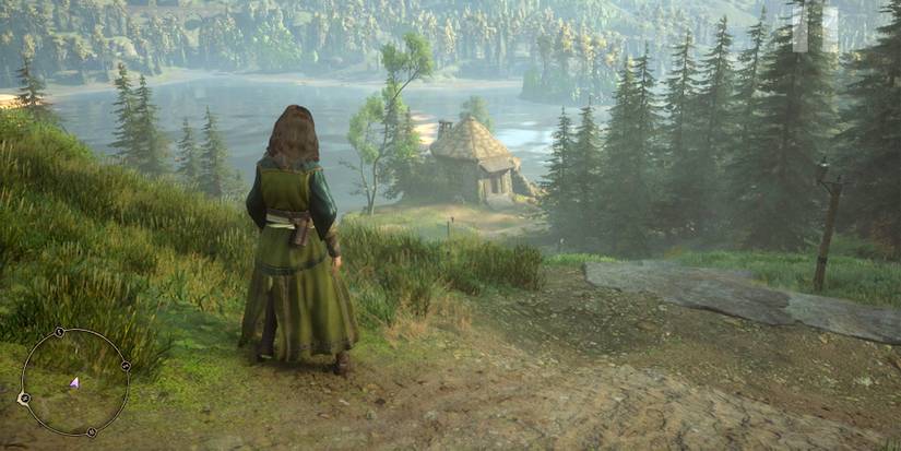 hagrid hut from afar in hogwarts legacy