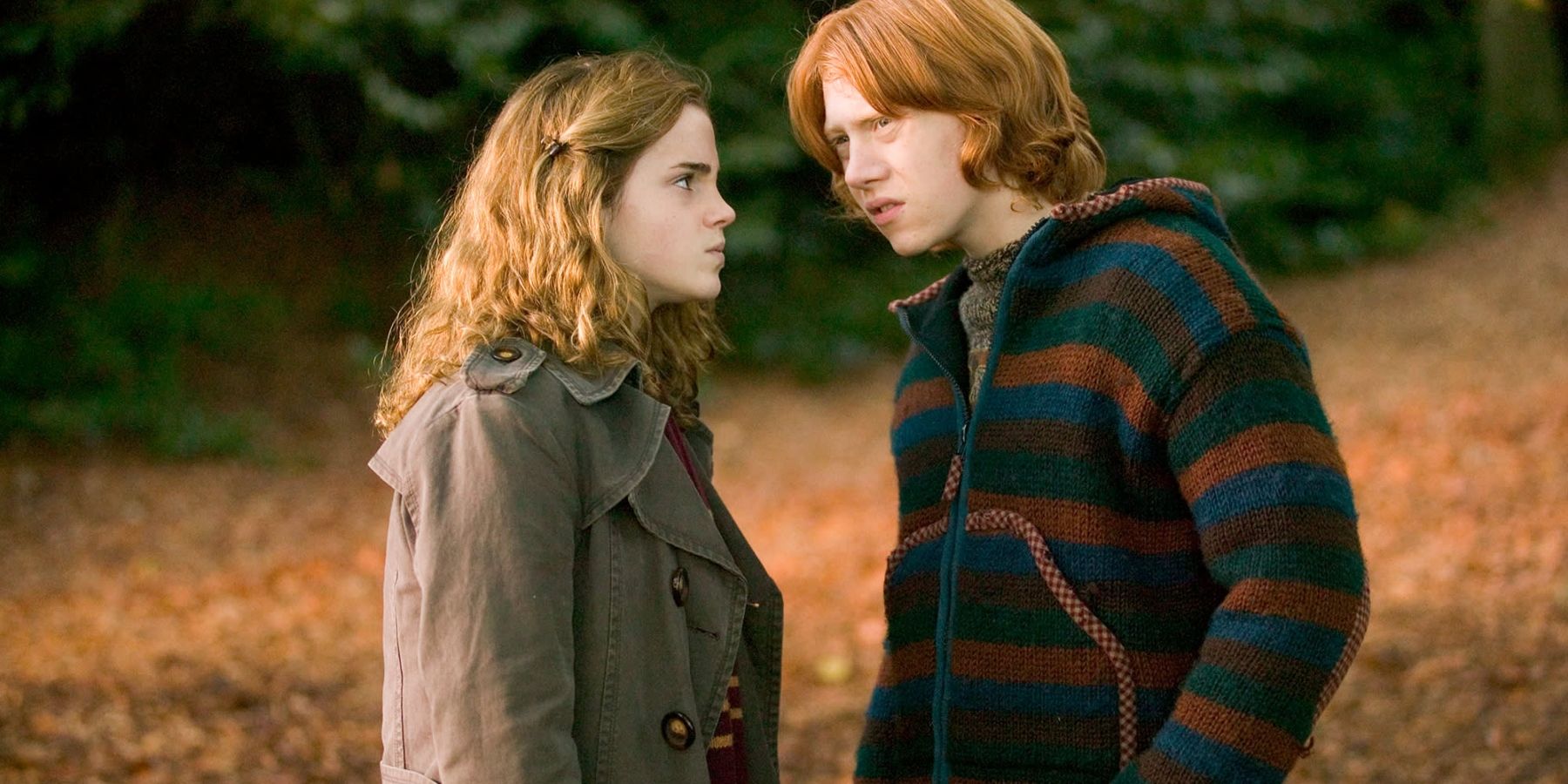 Harry Potter: What Happened To Hermione After The Series Ended