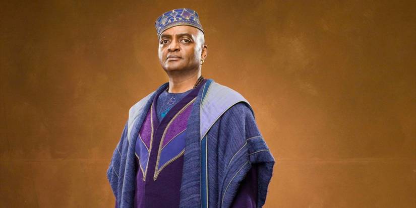 Most Underrated Wizards In Harry Potter Books