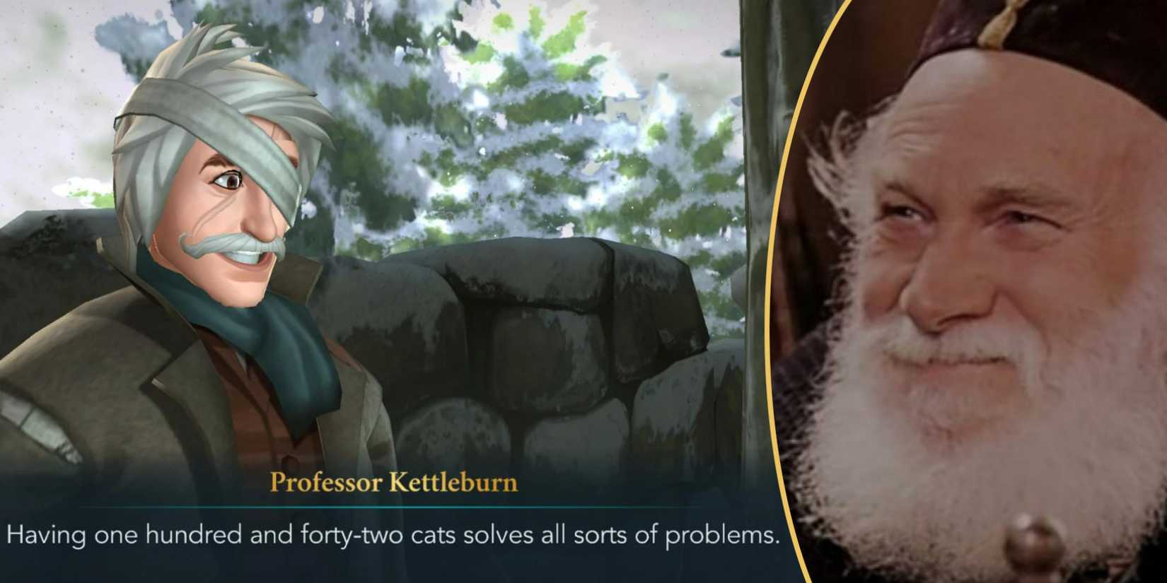 Harry Potter Most Iconic Magiczoologists Silvanus Kettleburn Care Of Magical Creatures Professor