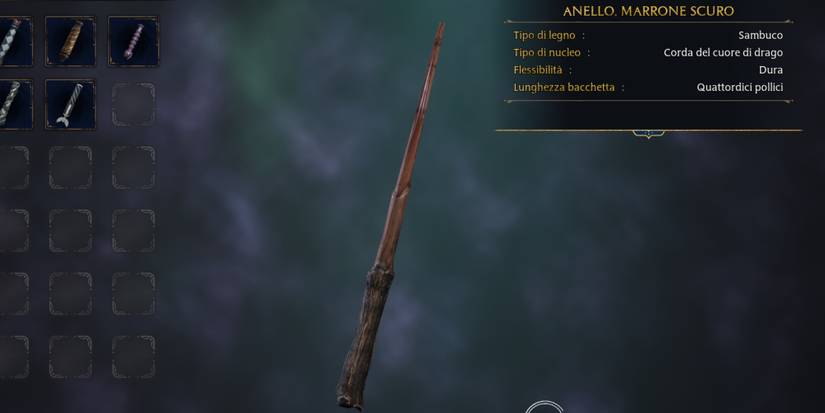 Harry Potter's wand