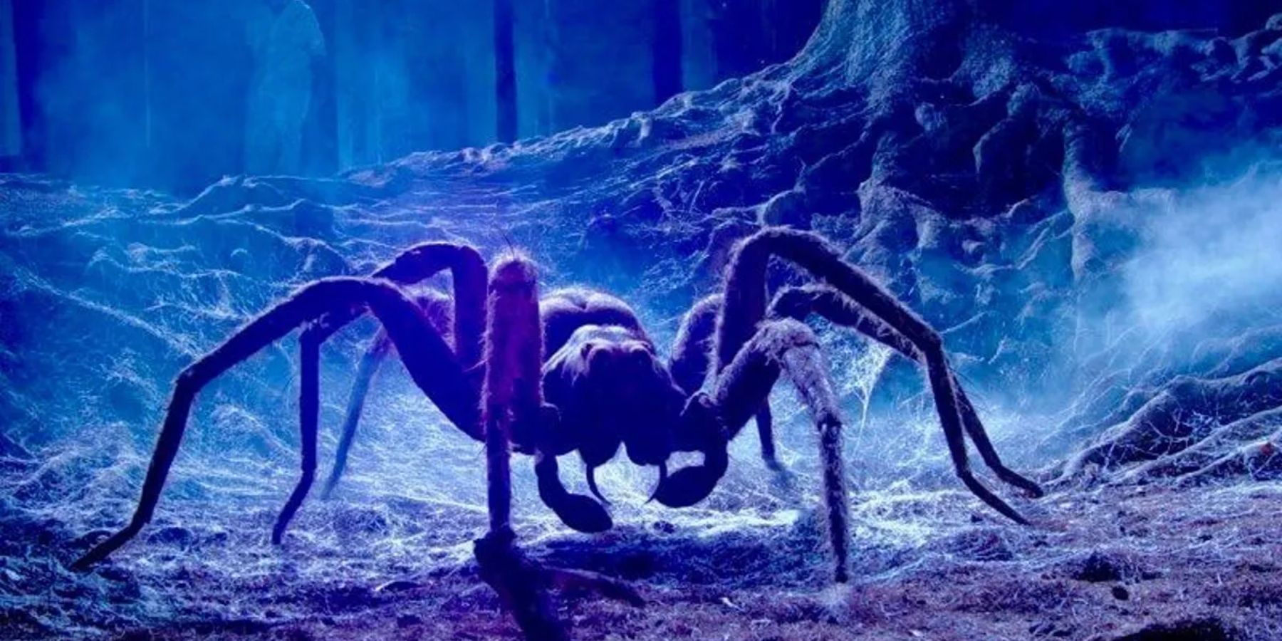 5 Underrated Horror Films About Spiders – Lubwe.com