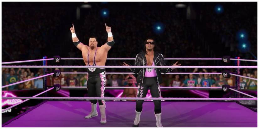 Brett Hart and Jim Neidhart in the WWE ring. The ring is covered in pink light and Neidhart has his hands raised, while Brett is posing with a leather jacket on