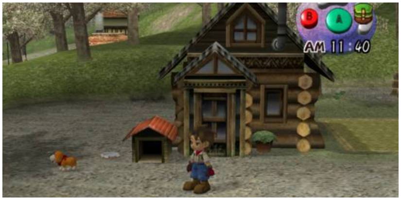 Harvest Moon A Wonderful Life