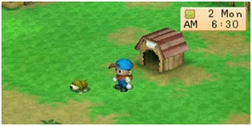 Harvest Moon Back to Nature