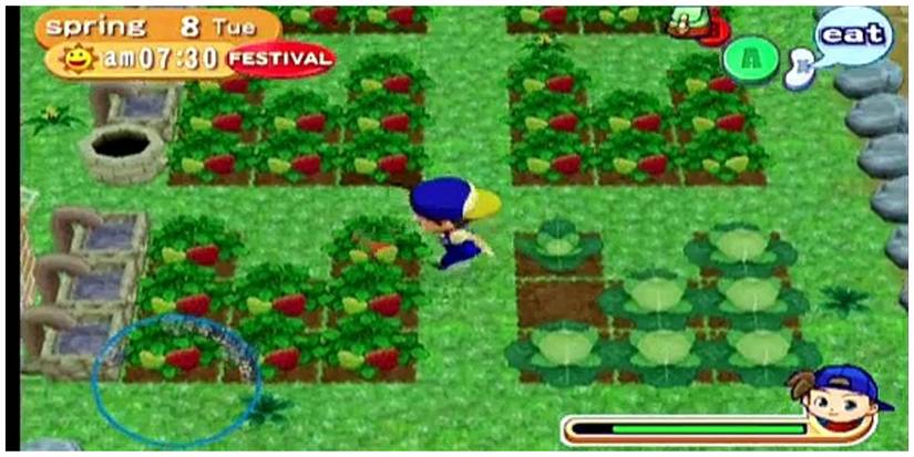 Harvest Moon Magical Melody-1