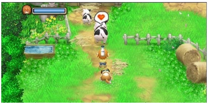 Harvest Moon The Tale of Two Towns