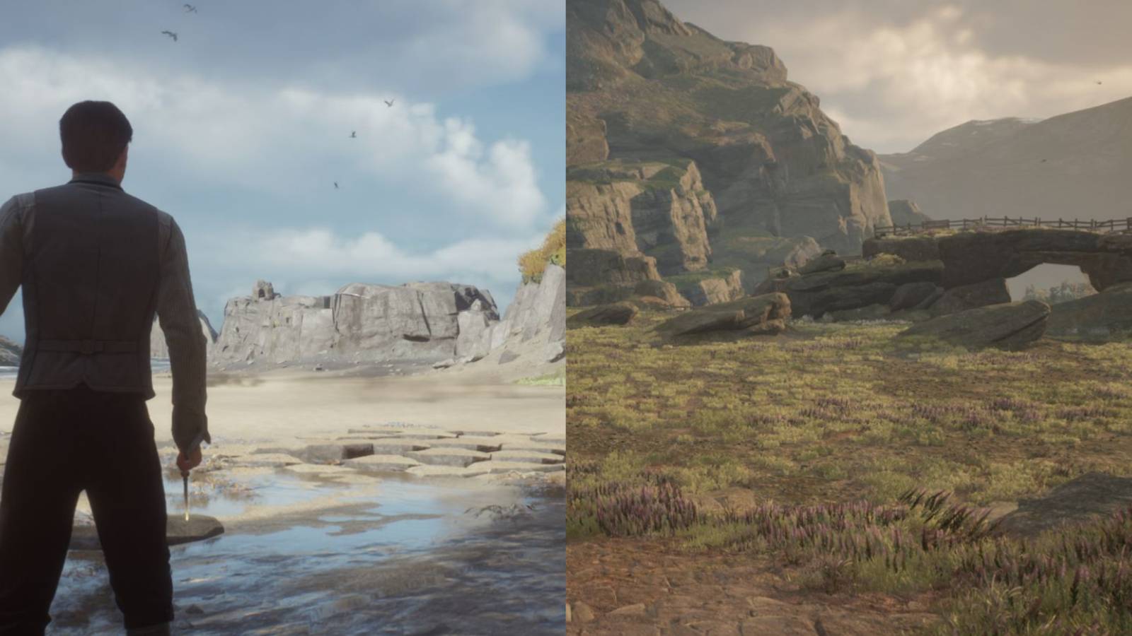 Hogwarts Legacy All Vivarium Biomes Ranked