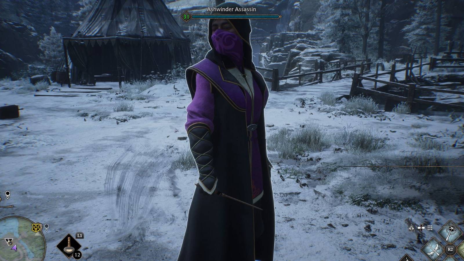 hogwarts legacy ashwinder assassin