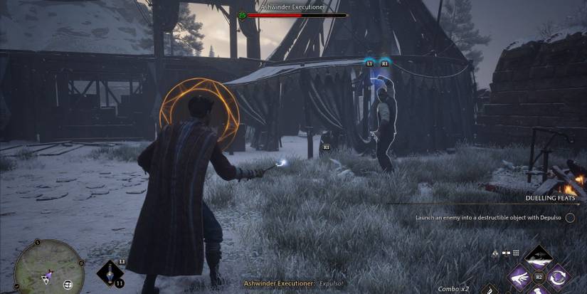 hogwarts legacy ashwinder poacher executioner attacks