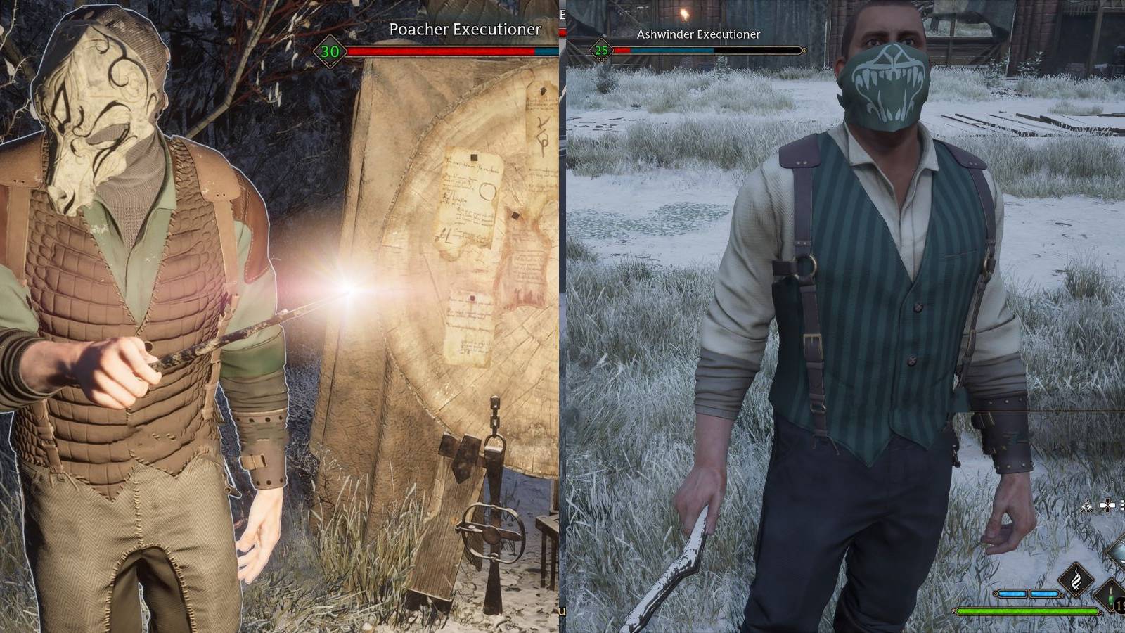 hogwarts legacy ashwinder poacher executioner