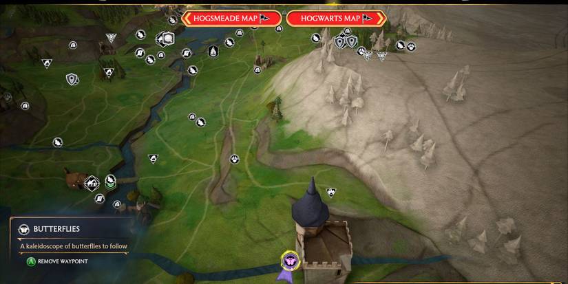 Hogwarts Legacy butterfly map location Hogwarts Valley 