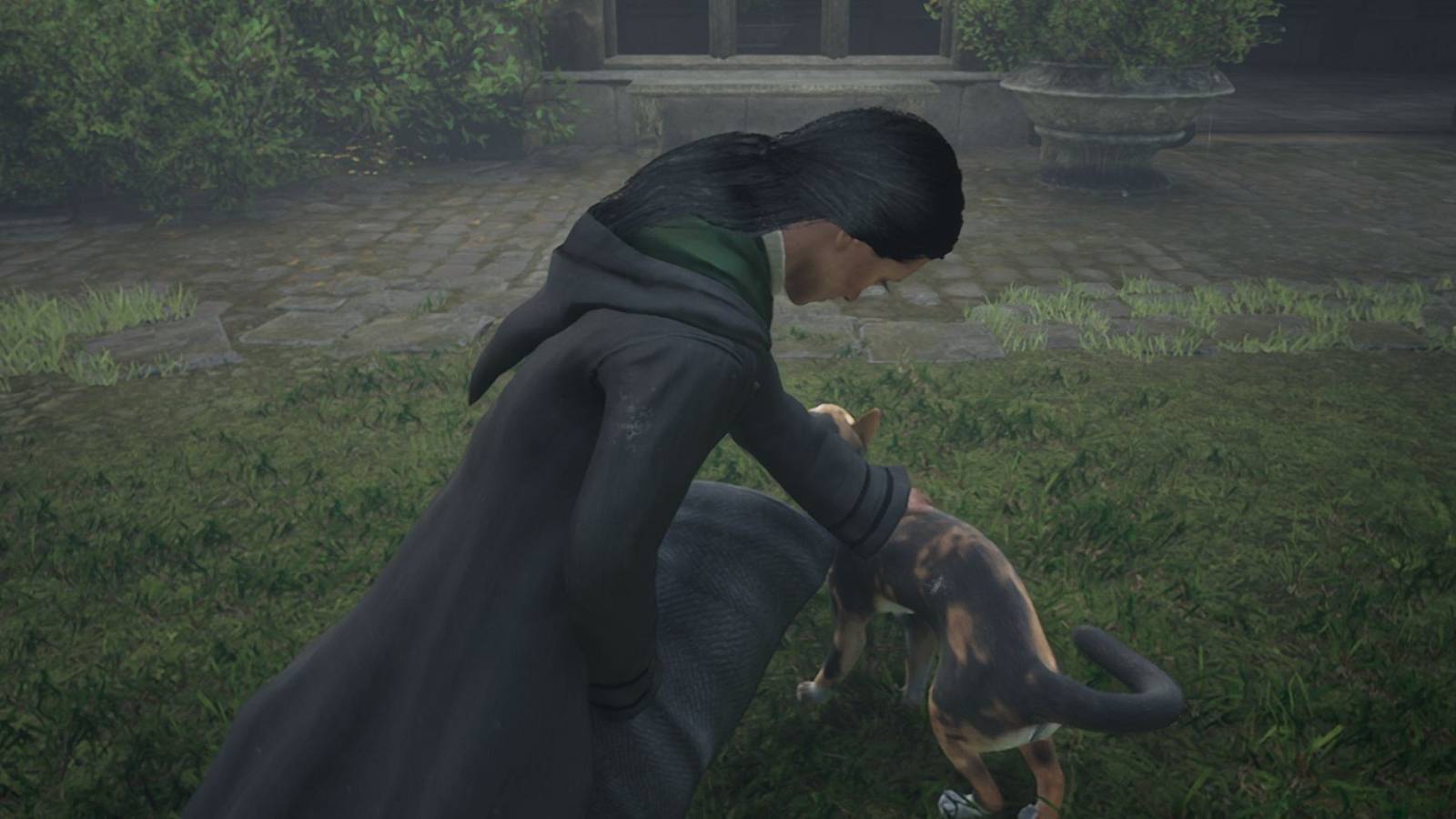 hogwarts legacy cats magical protection