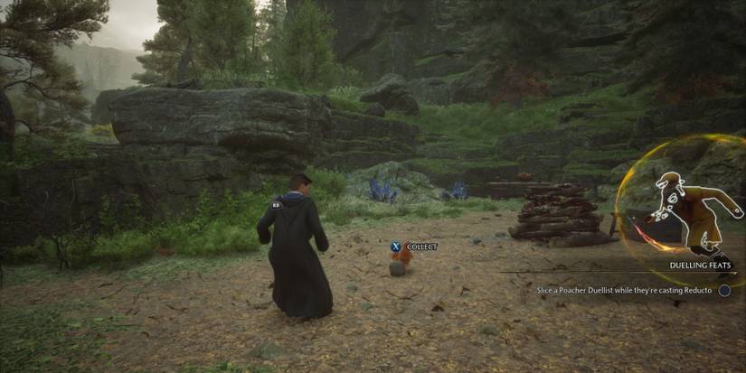 Hogwarts Legacy Chicken Transformation Ancient Magic Finisher