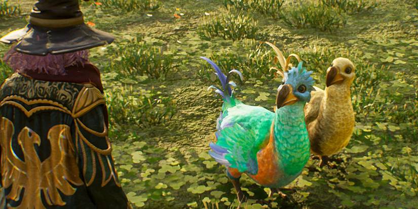 Two Diricawls in Hogwarts Legacy