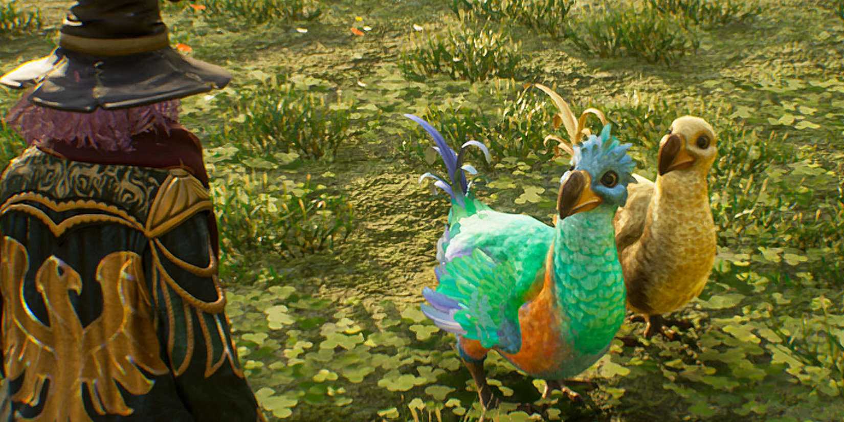 Two Diricawls in Hogwarts Legacy