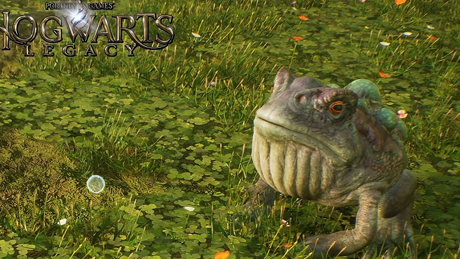 Hogwarts Legacy Player Discovers Hilarious Frog Bug