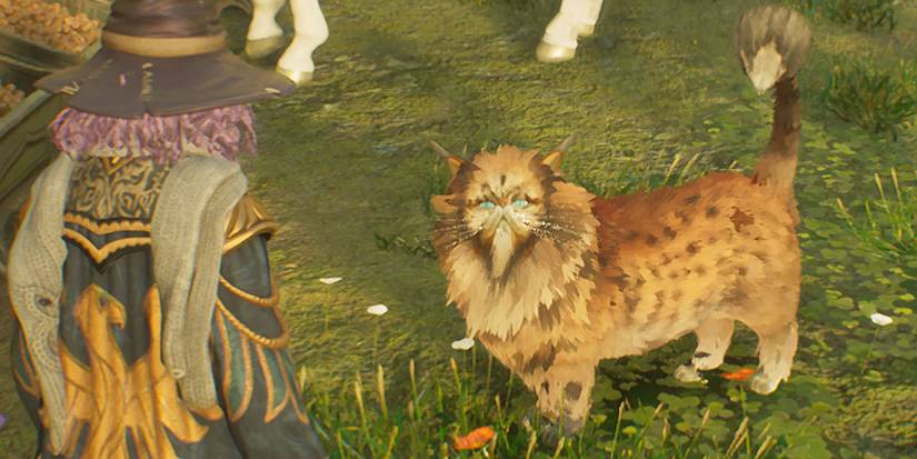 Kneazle in Hogwarts Legacy