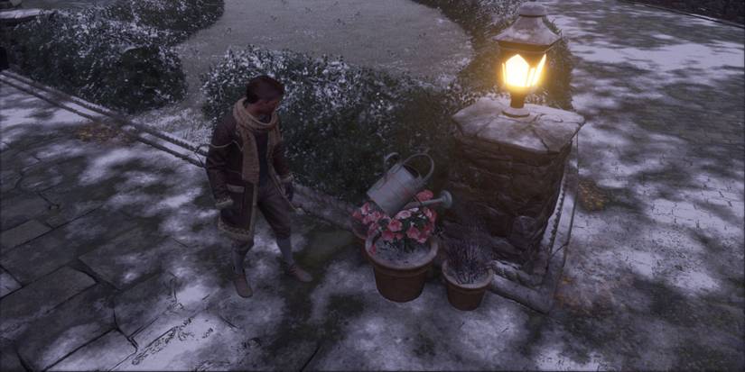 Hogwarts Legacy Magical Watering Can