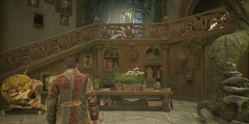 Hogwarts Legacy Natural Room of Requirement Aesthetic